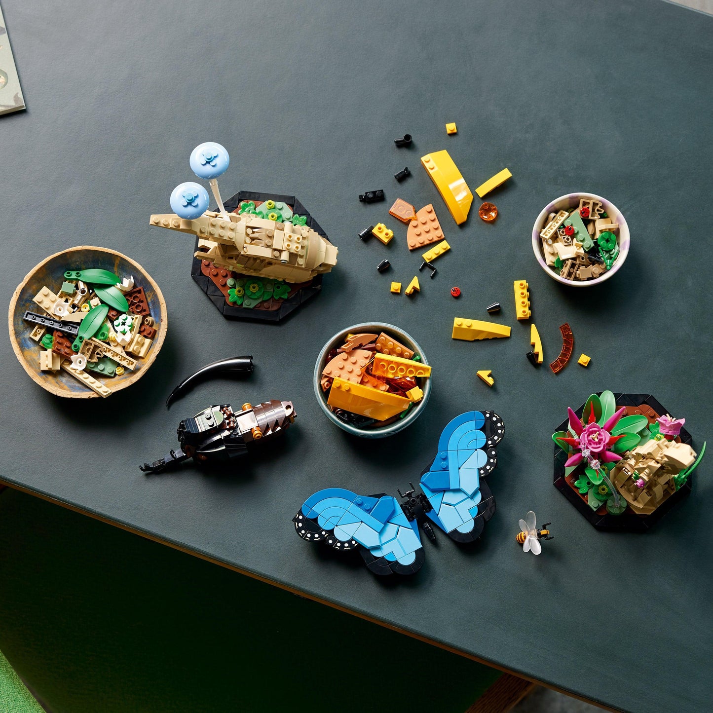 LEGO De insectencollectie 21342 Ideas | 2TTOYS ✓ Official shop<br>