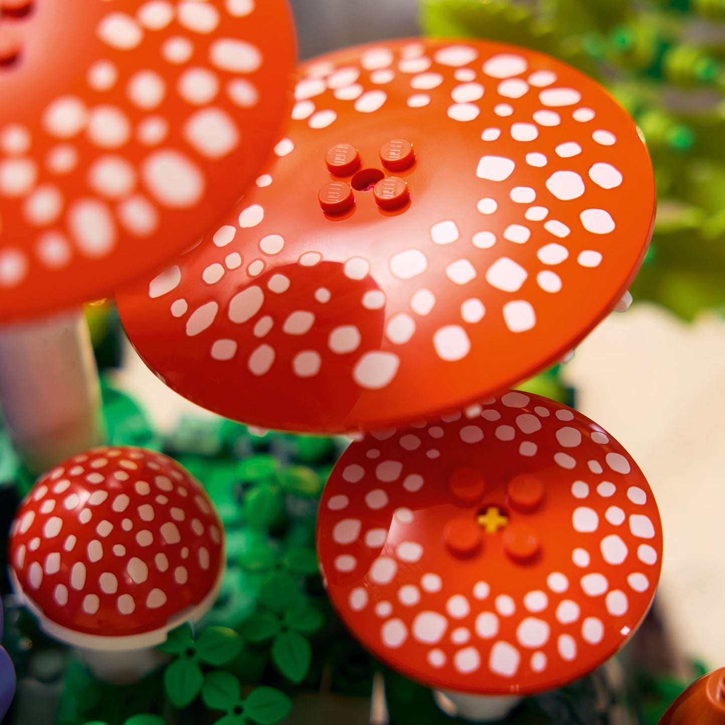 LEGO Botanicals Bospaddenstoelen - Kunstplanten Bouwpakket voor Volwassenen - Incl. een Paddenstoel en Nepbloemen - Woondecoratie en Bureau-Accessoire - DIY Cadeau voor Vrouwen en Mannen 11505