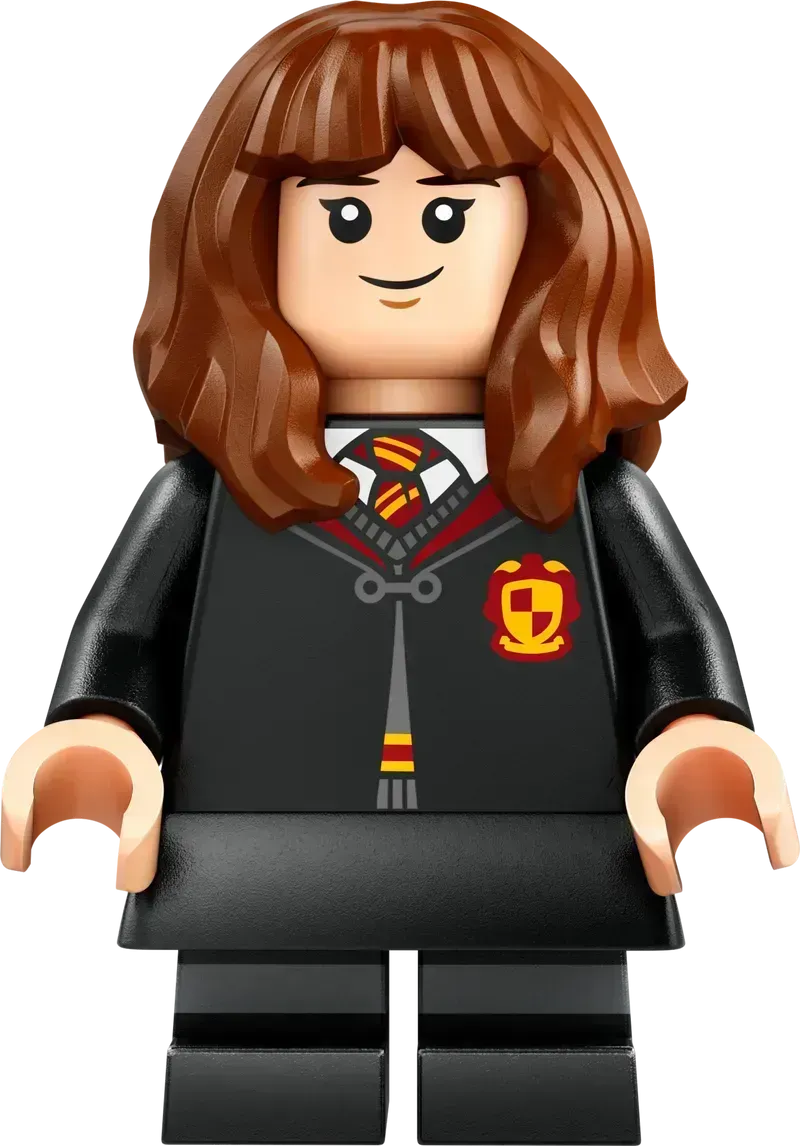 LEGO Hogwarts Castle Spellcasting Lesson 76442 Harry Potter (Pre-Order: January 2025)