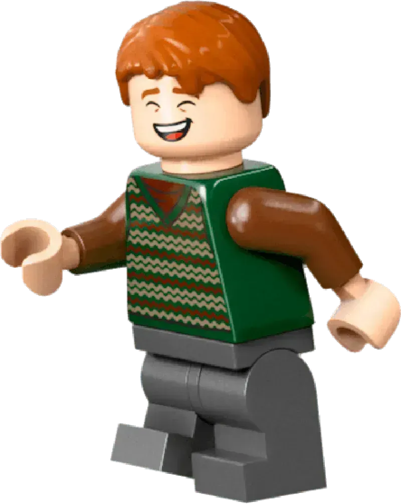 LEGO Das Nest – Sammleredition 76437 Harry Potter