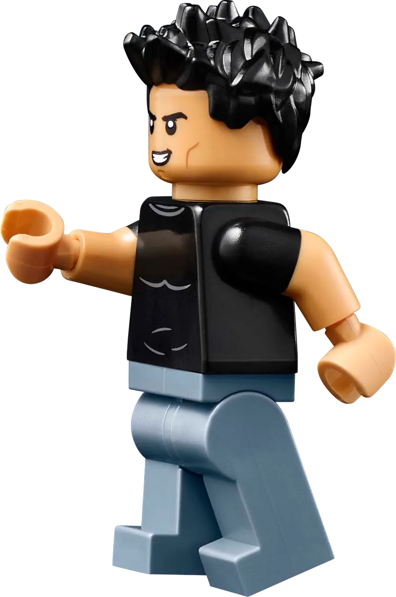 LEGO Twilight: The Cullen House 21354 Ideas