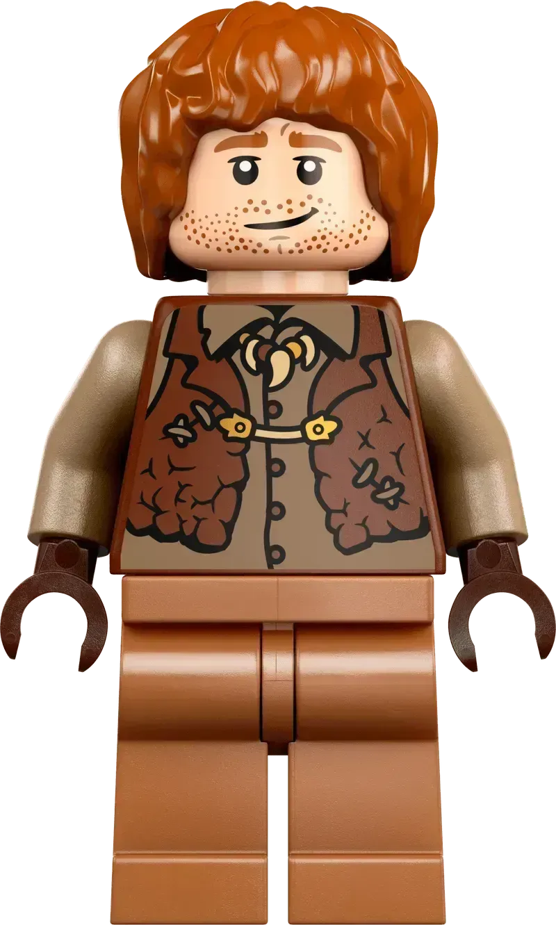 LEGO Das Nest – Sammleredition 76437 Harry Potter