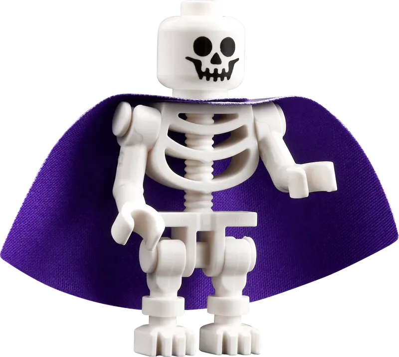 LEGO Dungeons &amp; Dragons: The Red Dragon's Tale 21348 Ideas