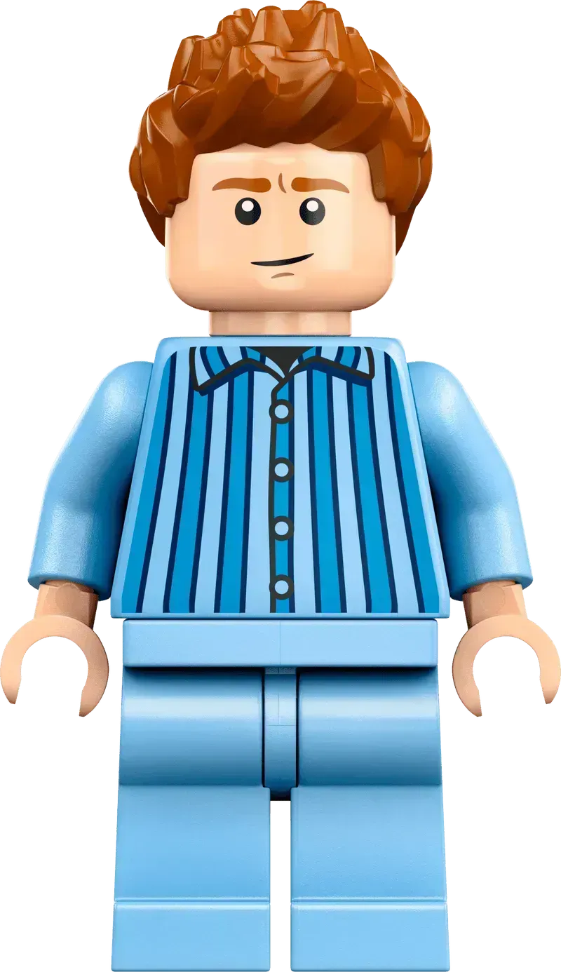 LEGO Das Nest – Sammleredition 76437 Harry Potter