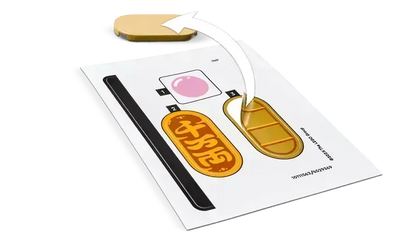 LEGO Lucky Cat 40813 Creator