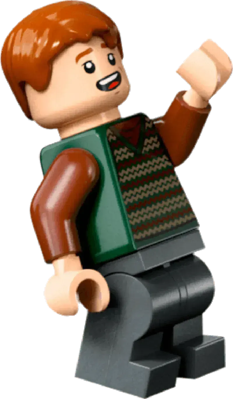 LEGO Das Nest – Sammleredition 76437 Harry Potter