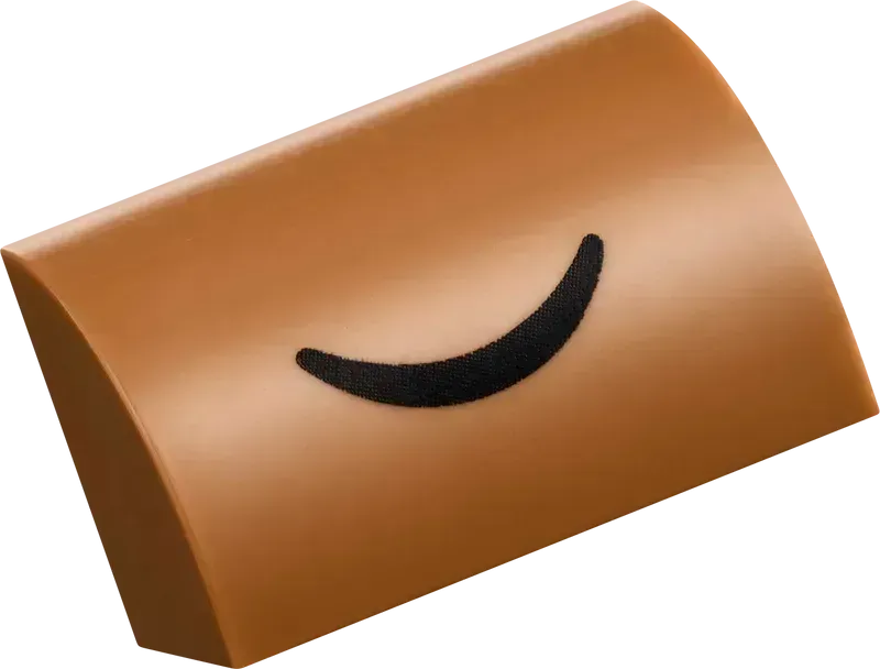 LEGO Creative Dinosaur 11041 (Pre-Order: January 2025)