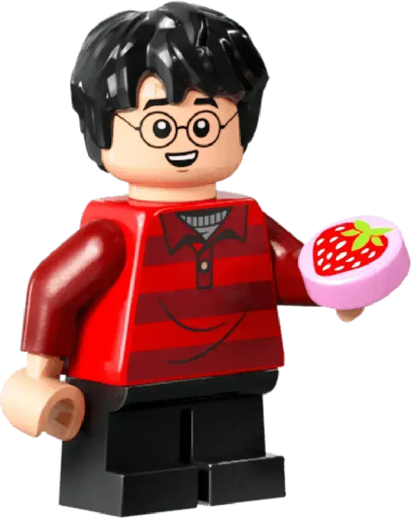 LEGO Das Nest – Sammleredition 76437 Harry Potter