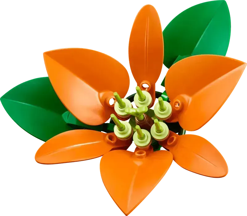 LEGO Flower Arrangement 10345 Botanical Collection (expected February 2025)