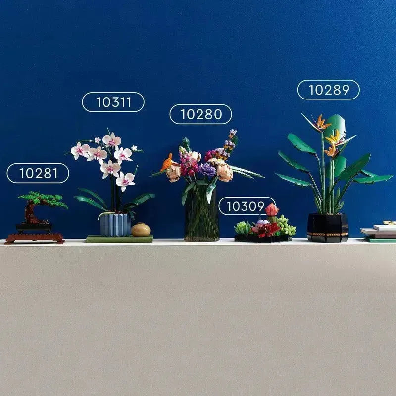 LEGO Collectie Vetplanten 10309 Creator Expert LEGO CREATOR EXPERT @ 2TTOYS | Official LEGO shop😊🥰 LEGO €. 54.99