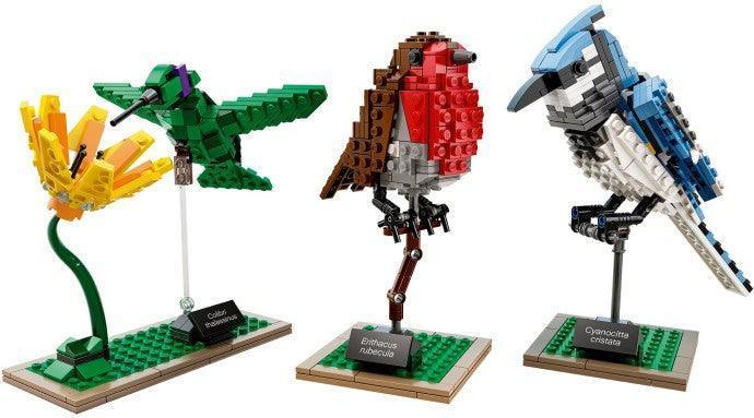 LEGO Birds 21301 Ideas LEGO IDEAS @ 2TTOYS LEGO €. 44.99