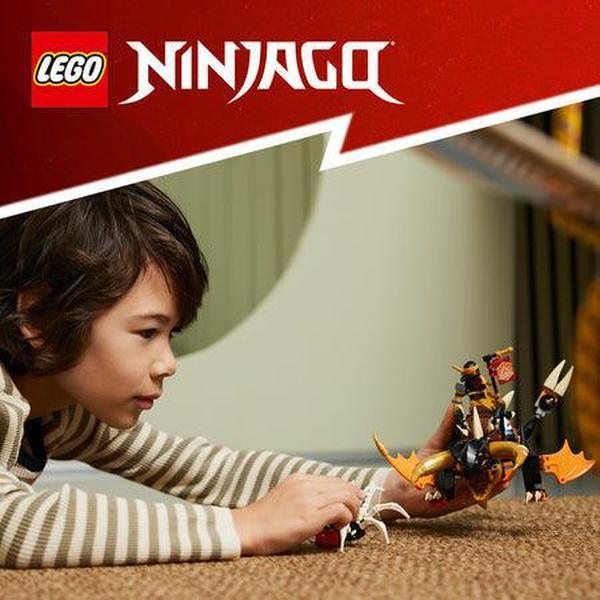 LEGO Cole's Aardedraak EVO EVO 71782 Ninjago LEGO NINJAGO @ 2TTOYS LEGO €. 29.49