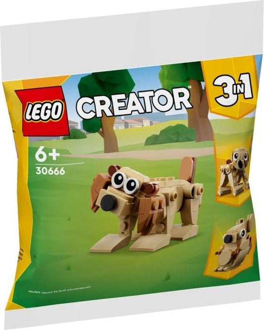 LEGO Dieren om cadeau te doen 30666 Creator 3 in 1 LEGO @ 2TTOYS LEGO €. 3.99