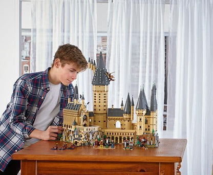 LEGO Hogwarts Castle 71043 Harry Potter LEGO HARRY POTTER @ 2TTOYS LEGO €. 469.99